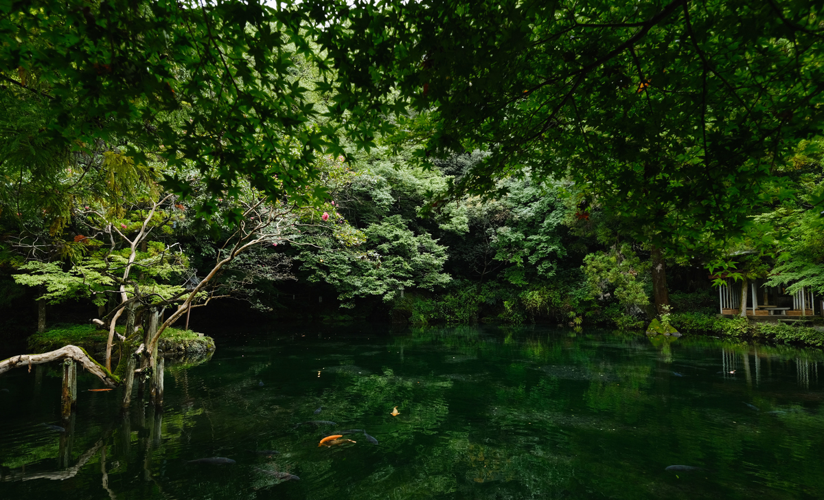 f:id:MotoPhoto94:20200928204928j:plain