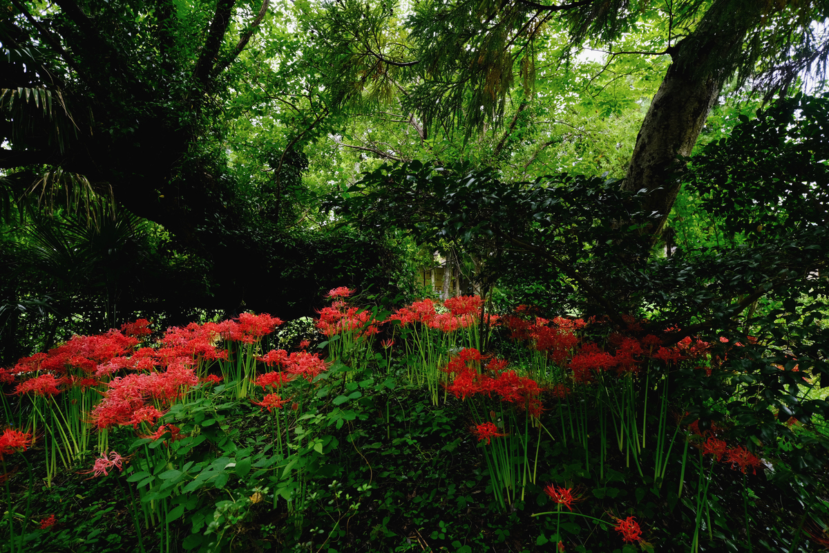 f:id:MotoPhoto94:20200928204939j:plain