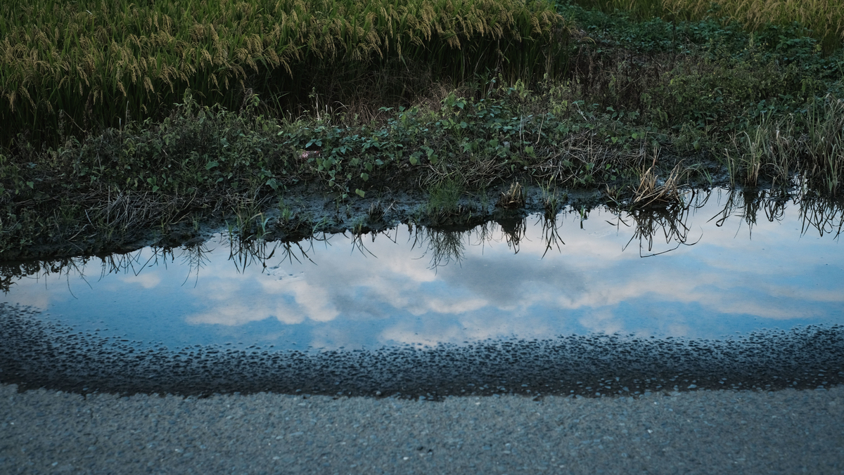 f:id:MotoPhoto94:20200928204952j:plain