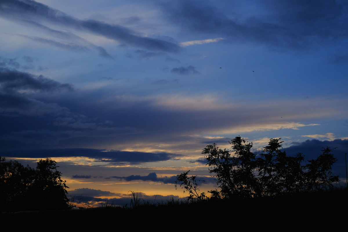 f:id:MotoPhoto94:20200928205023j:plain