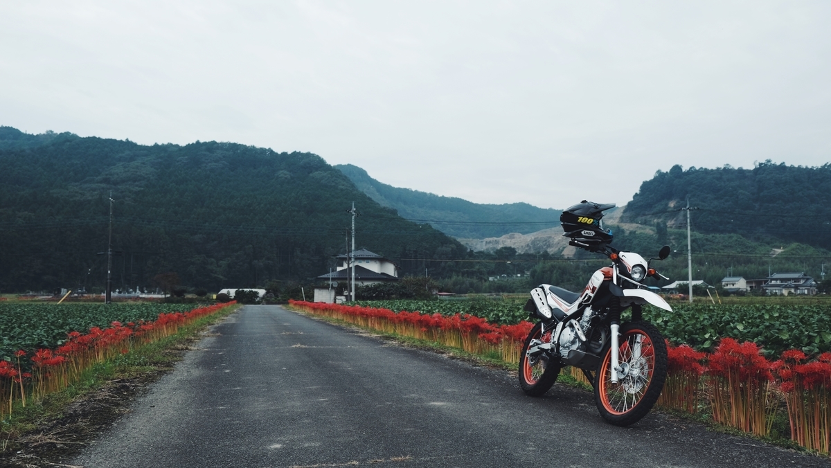 f:id:MotoPhoto94:20201005205304j:plain