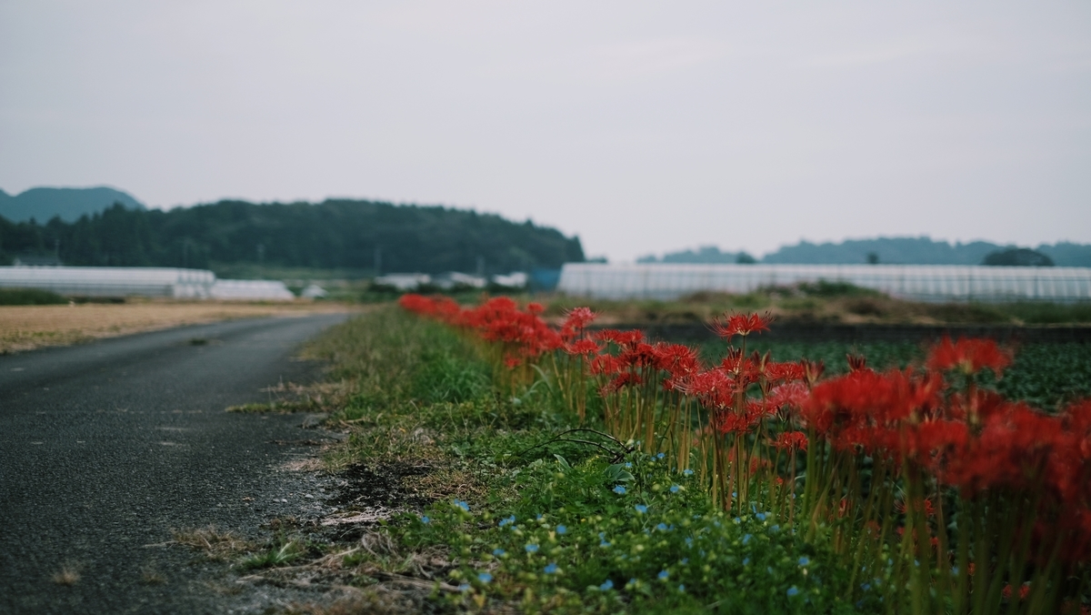 f:id:MotoPhoto94:20201005205413j:plain