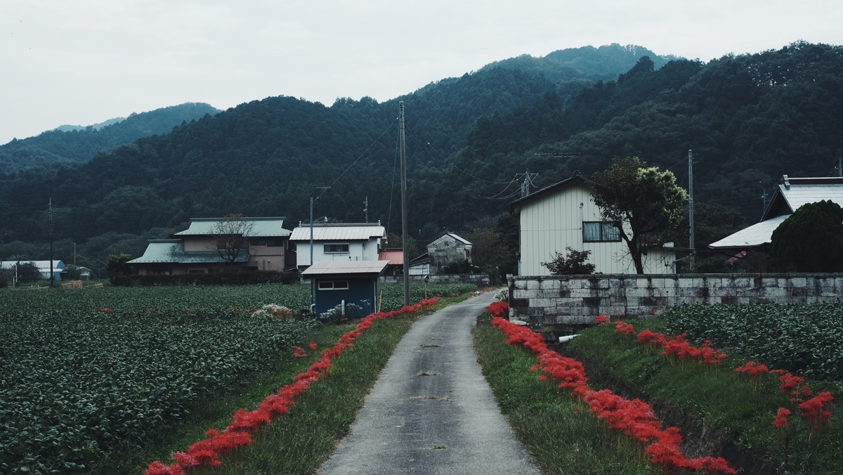 f:id:MotoPhoto94:20201005205520j:plain