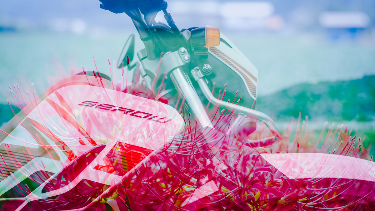 f:id:MotoPhoto94:20201005205819j:plain