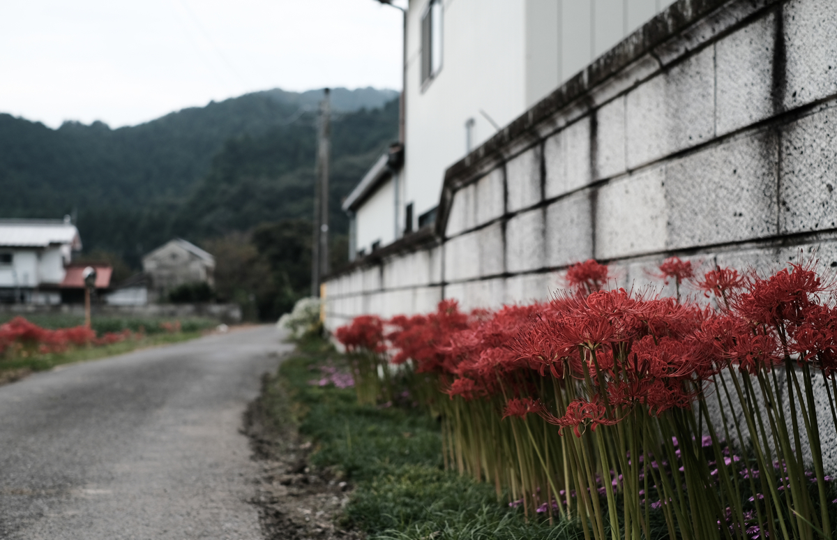 f:id:MotoPhoto94:20201005205832j:plain