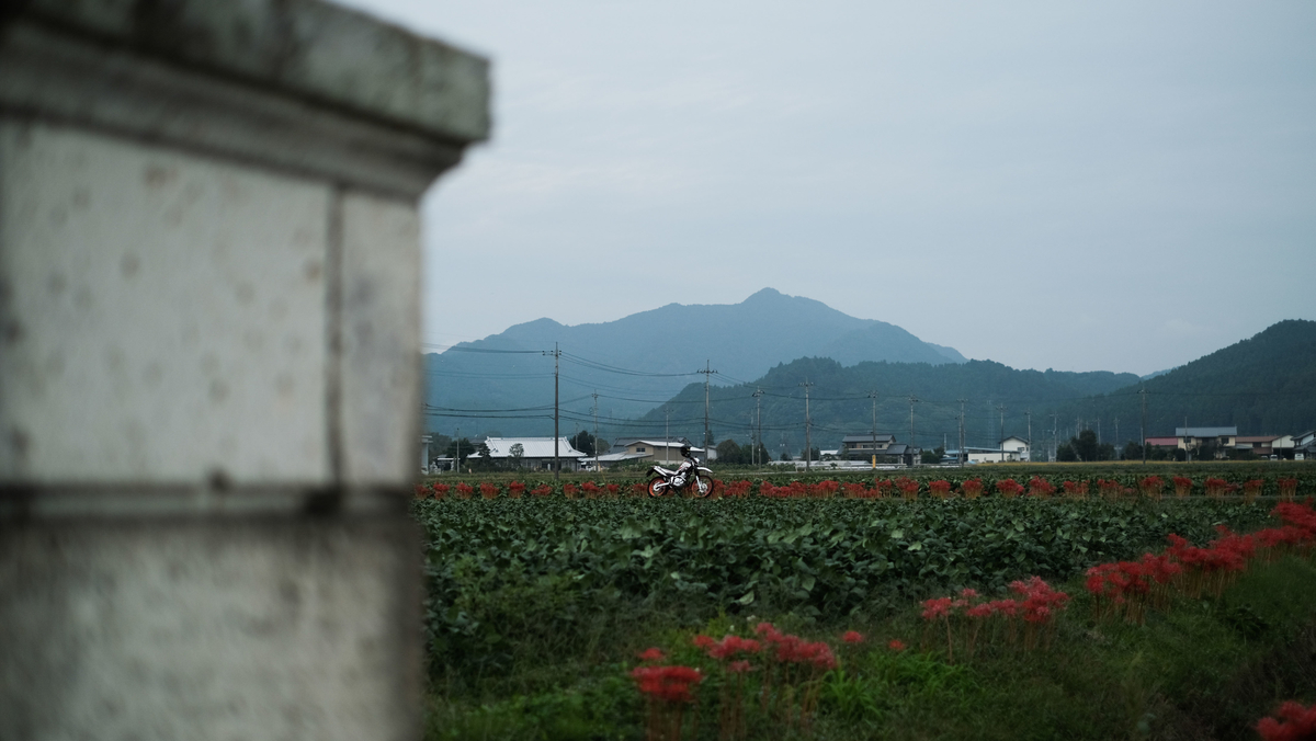 f:id:MotoPhoto94:20201005205847j:plain