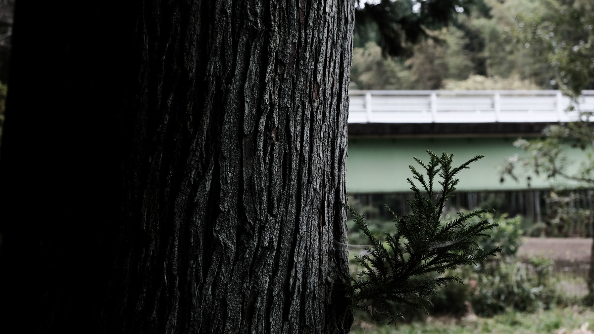 f:id:MotoPhoto94:20201005205910j:plain