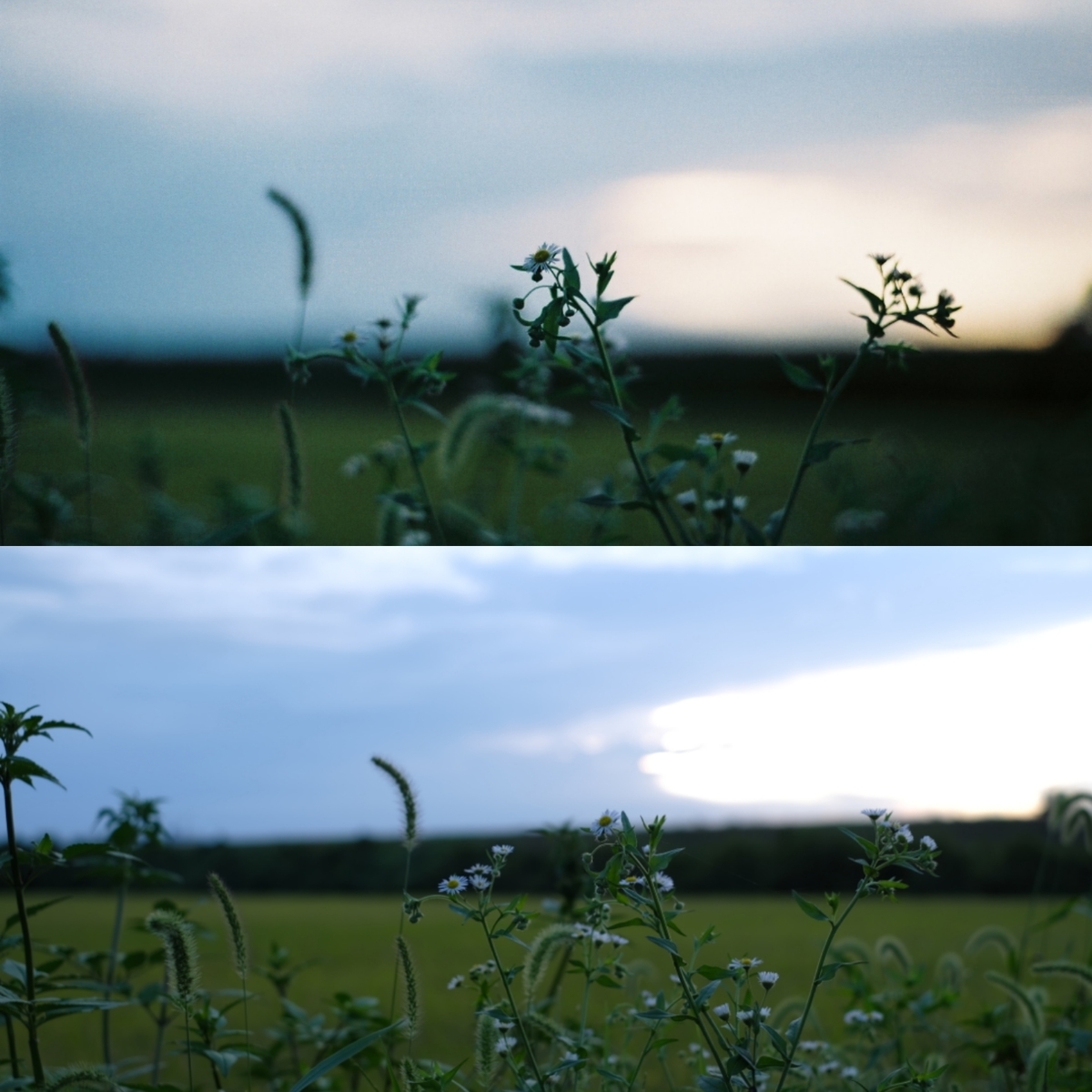 f:id:MotoPhoto94:20201012213847j:plain