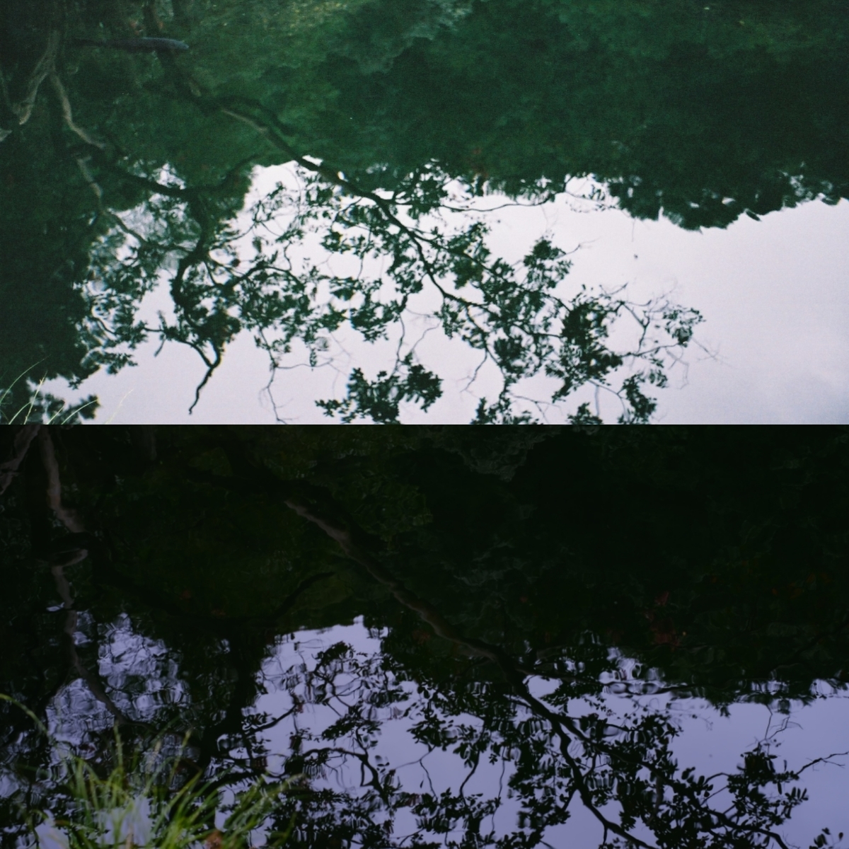 f:id:MotoPhoto94:20201012213854j:plain