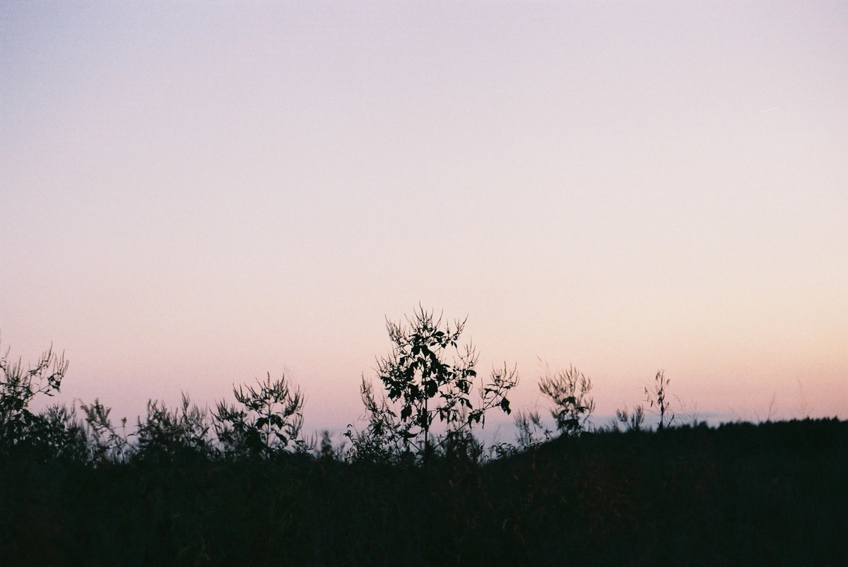 f:id:MotoPhoto94:20201012214401j:plain