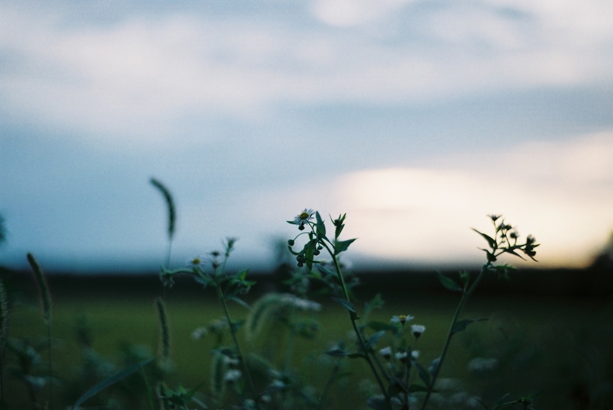 f:id:MotoPhoto94:20201012214420j:plain