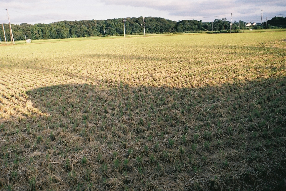 f:id:MotoPhoto94:20201012214443j:plain