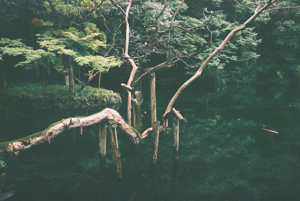 f:id:MotoPhoto94:20201012214501j:plain