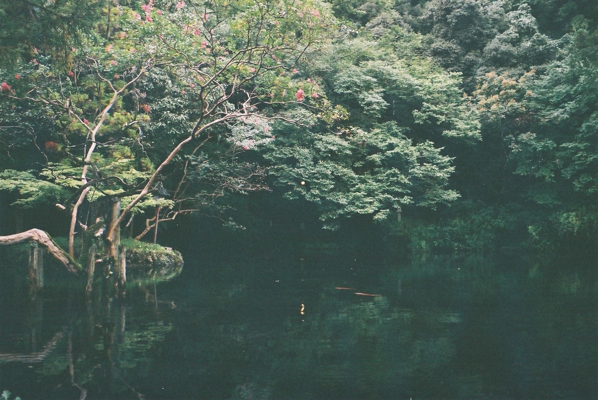 f:id:MotoPhoto94:20201012214505j:plain