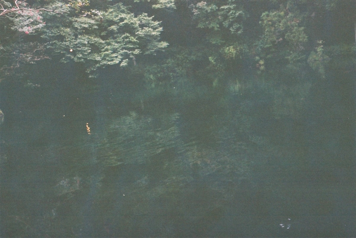 f:id:MotoPhoto94:20201012214511j:plain