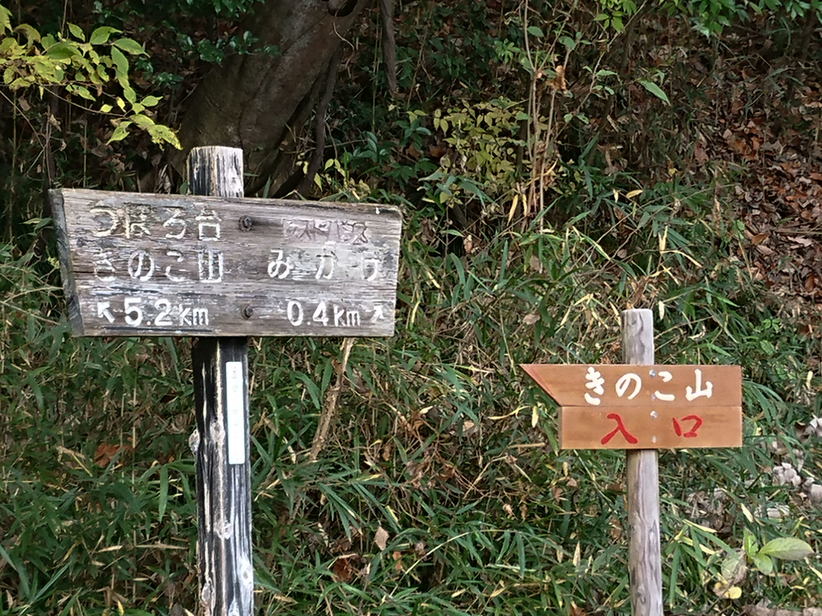 f:id:MotoPhoto94:20201129213511j:plain