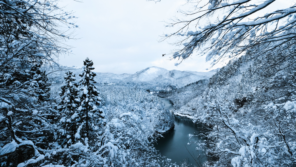 f:id:MotoPhoto94:20201223212827j:plain