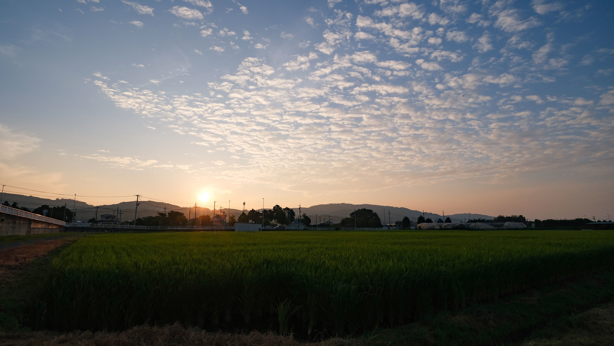 f:id:MotoPhoto94:20201231181735j:plain