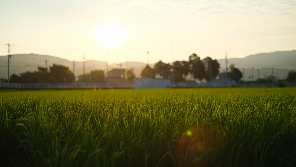 f:id:MotoPhoto94:20201231181748j:plain