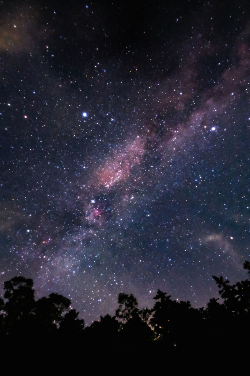 f:id:MotoPhoto94:20201231181812j:plain