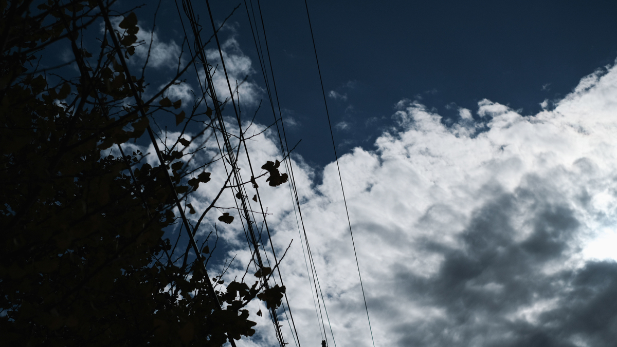 f:id:MotoPhoto94:20201231181815j:plain