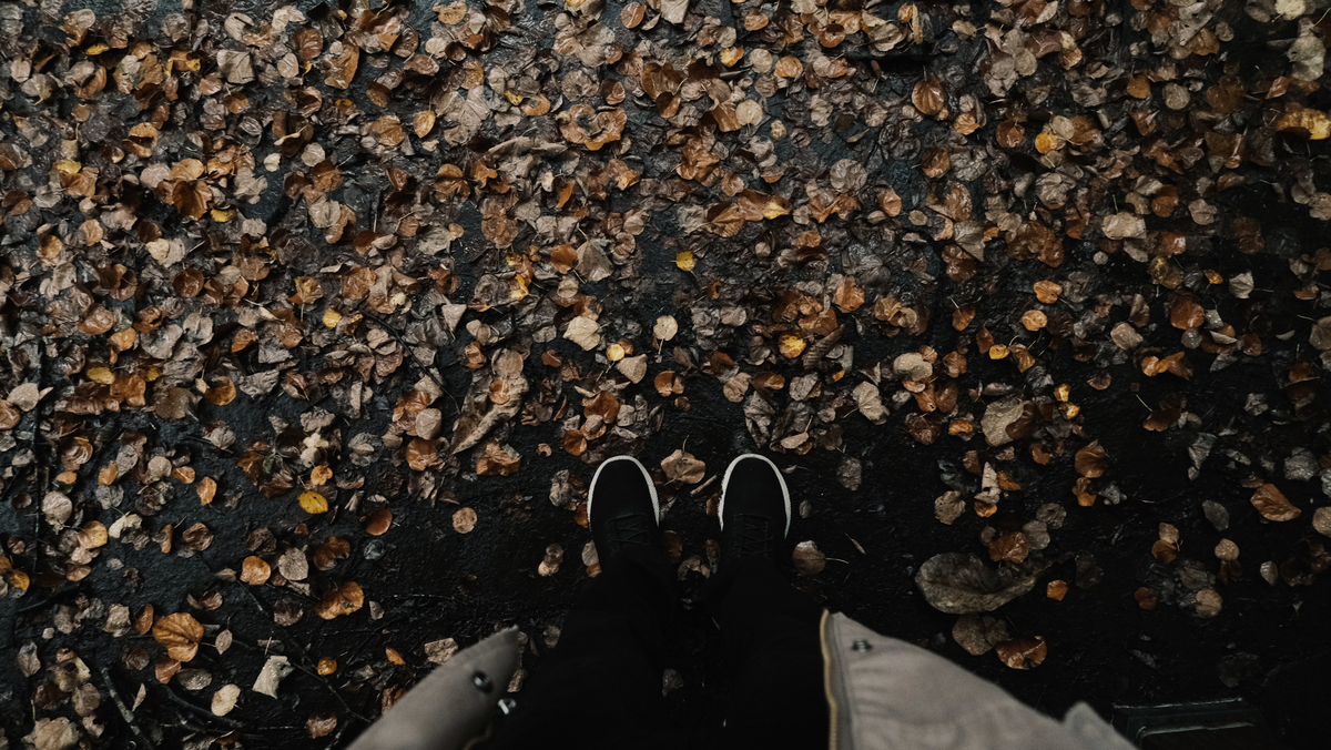 f:id:MotoPhoto94:20201231181833j:plain