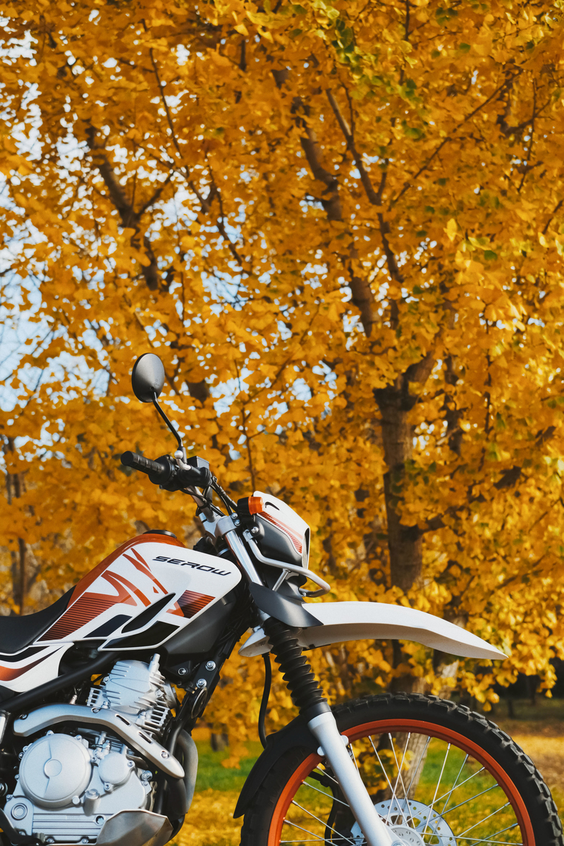 f:id:MotoPhoto94:20201231181836j:plain