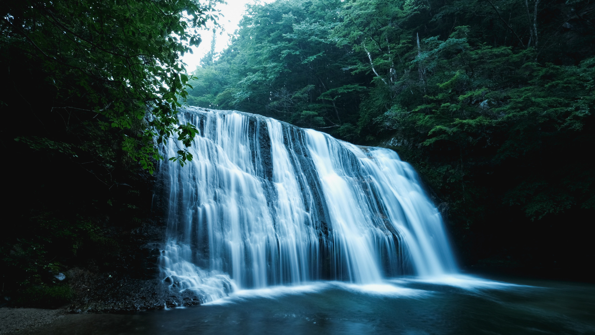 f:id:MotoPhoto94:20201231181837j:plain