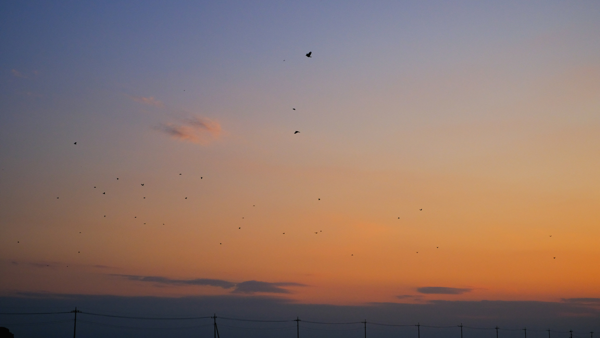 f:id:MotoPhoto94:20201231181932j:plain