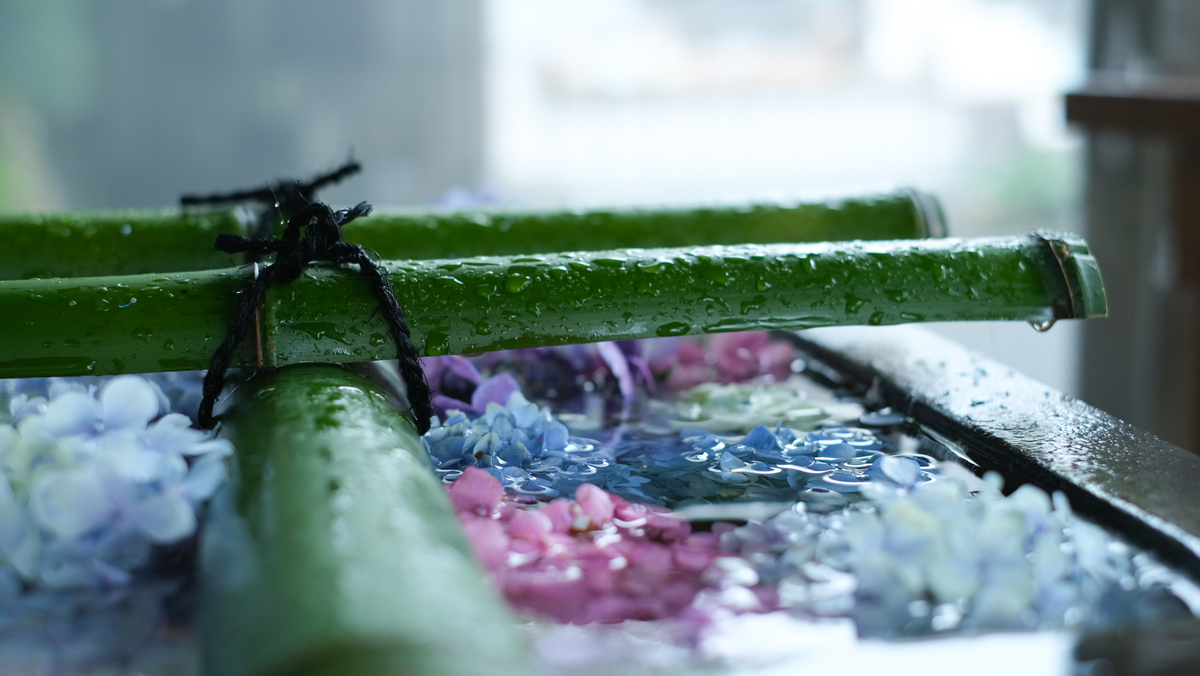 f:id:MotoPhoto94:20201231182035j:plain