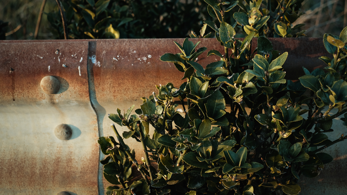 f:id:MotoPhoto94:20210323223545j:plain