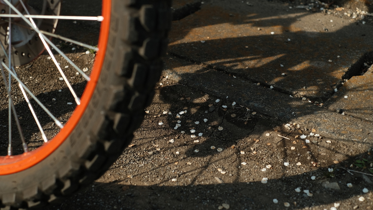 f:id:MotoPhoto94:20210323224002j:plain