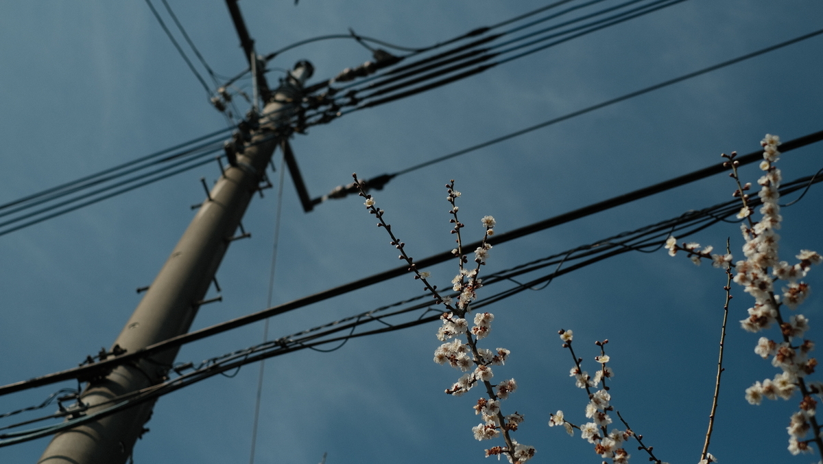 f:id:MotoPhoto94:20210323224013j:plain