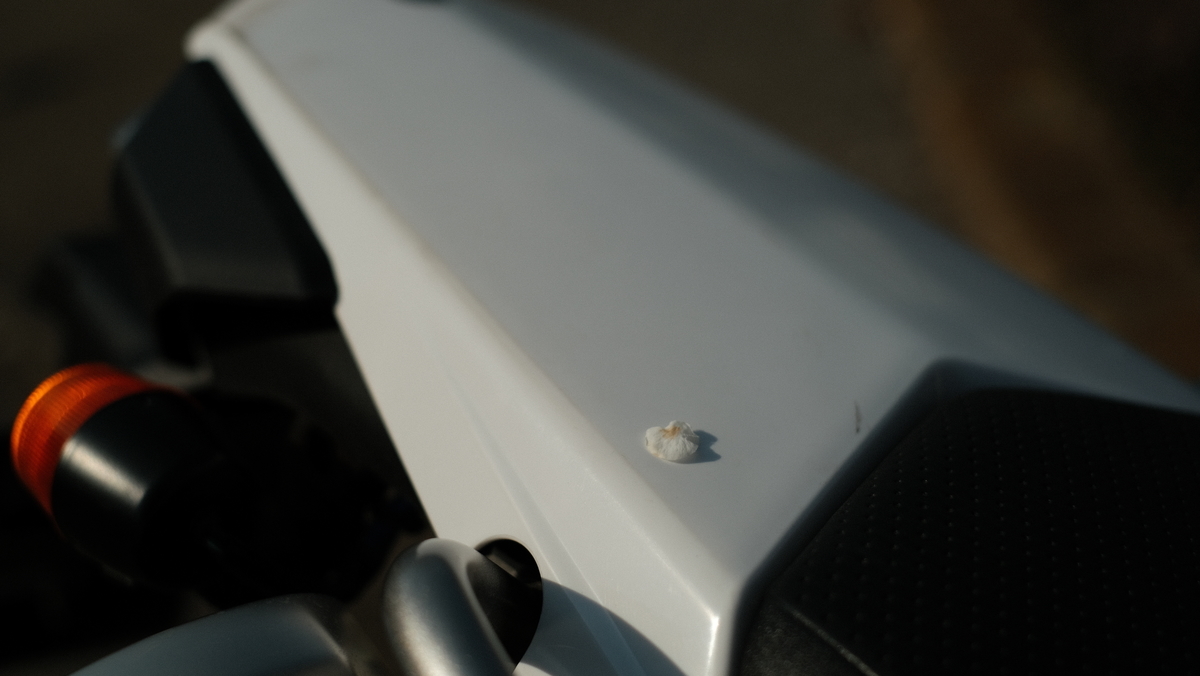 f:id:MotoPhoto94:20210324205713j:plain