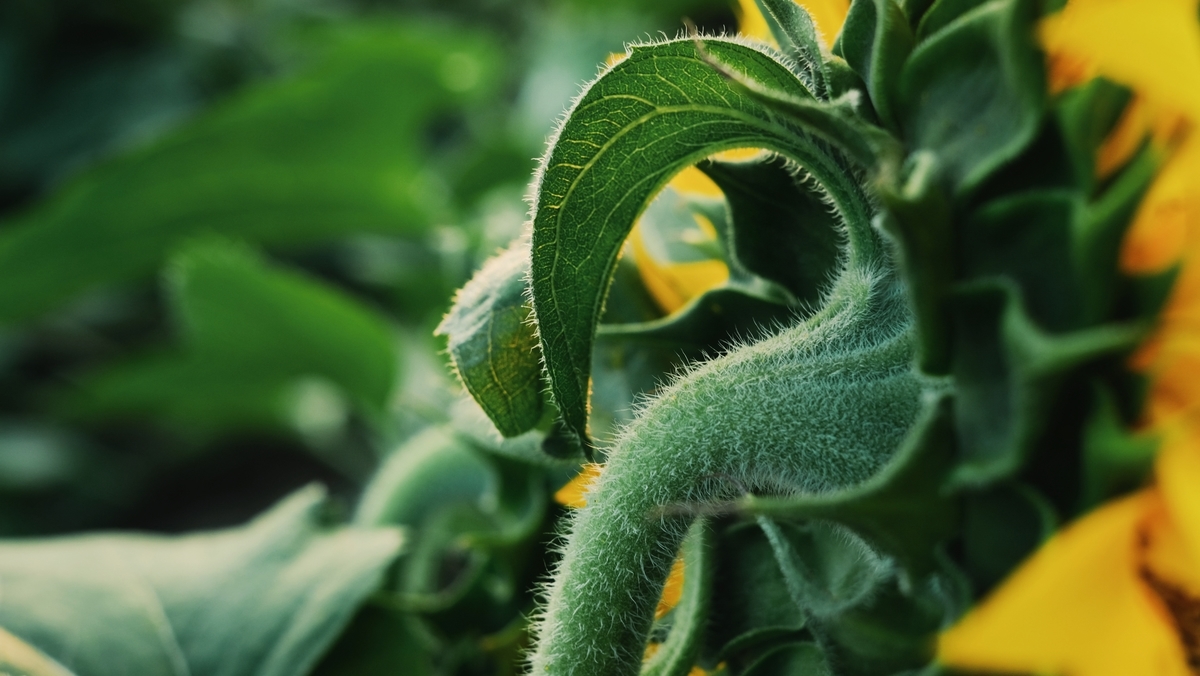 f:id:MotoPhoto94:20210726210605j:plain