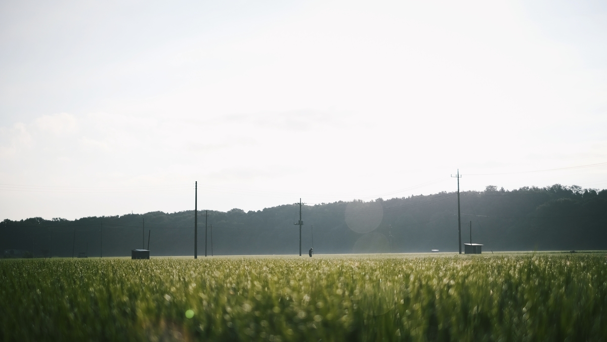 f:id:MotoPhoto94:20210726210614j:plain