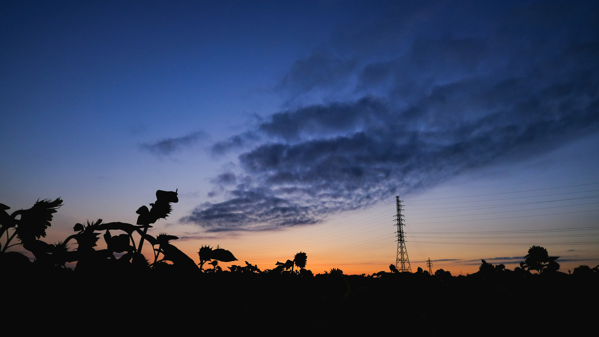 f:id:MotoPhoto94:20210726210712j:plain