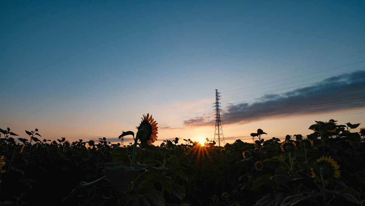 f:id:MotoPhoto94:20210726210751j:plain