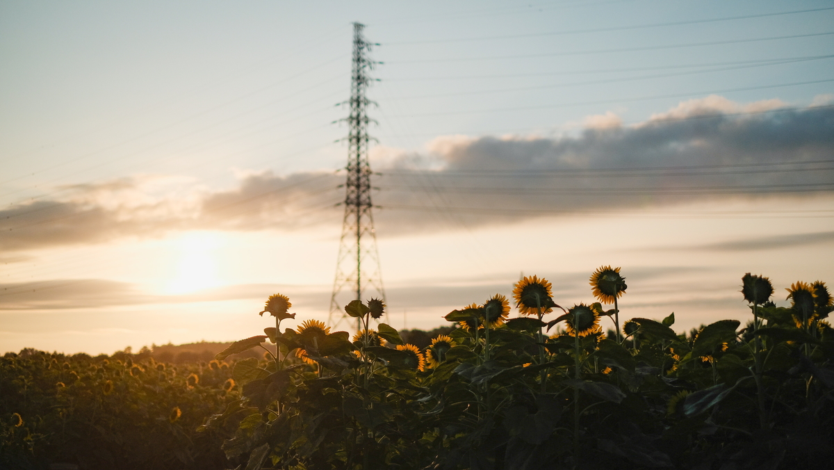 f:id:MotoPhoto94:20210726210830j:plain