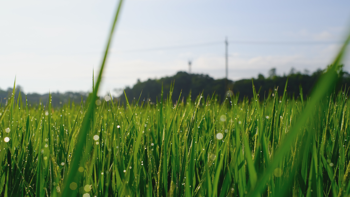 f:id:MotoPhoto94:20210726210910j:plain