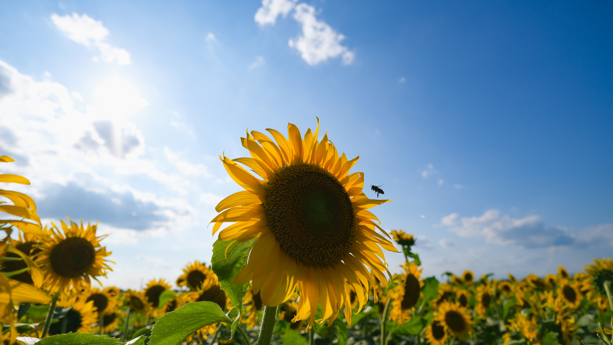 f:id:MotoPhoto94:20210726210920j:plain