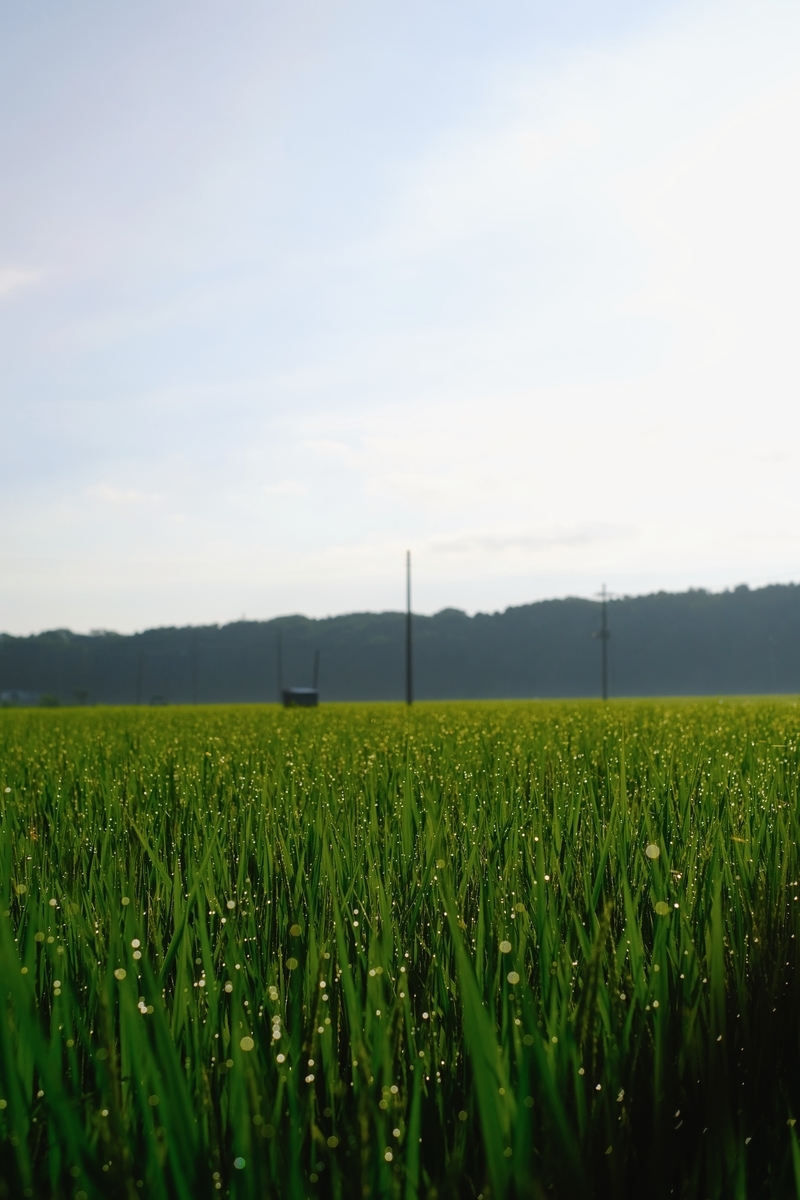 f:id:MotoPhoto94:20210726211023j:plain