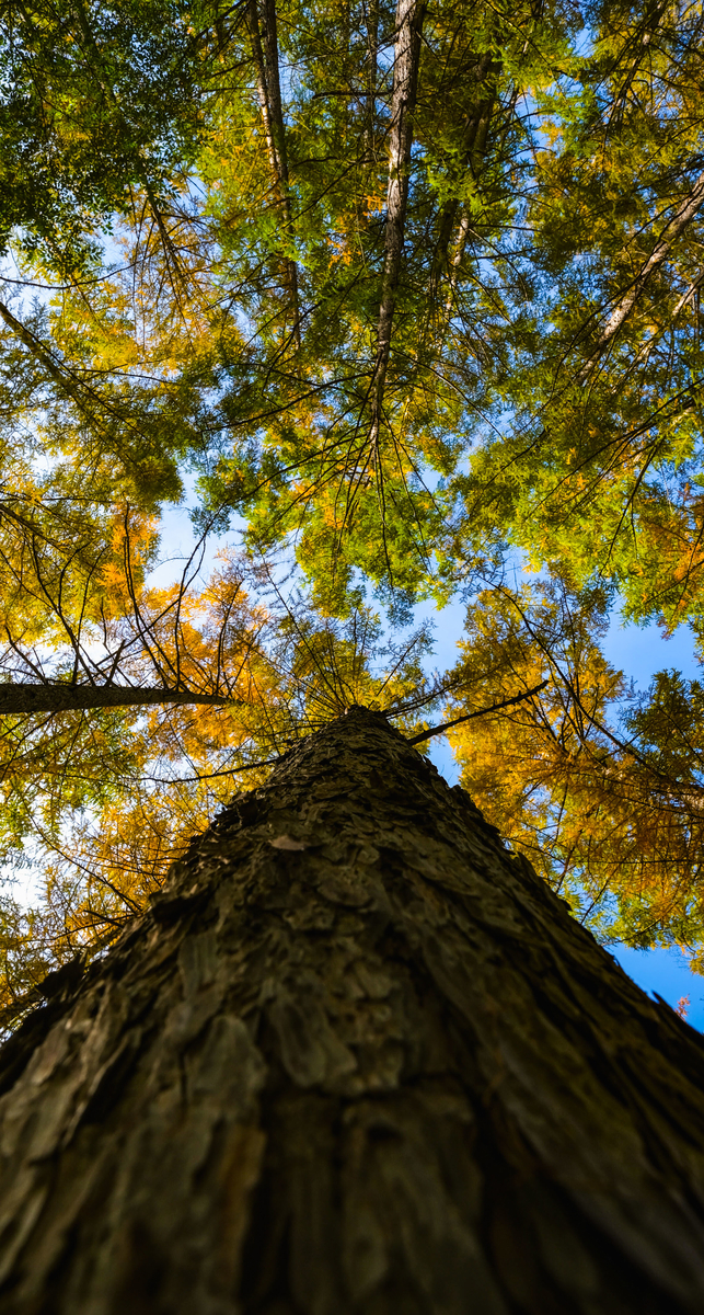 f:id:MotoPhoto94:20211031204425j:plain