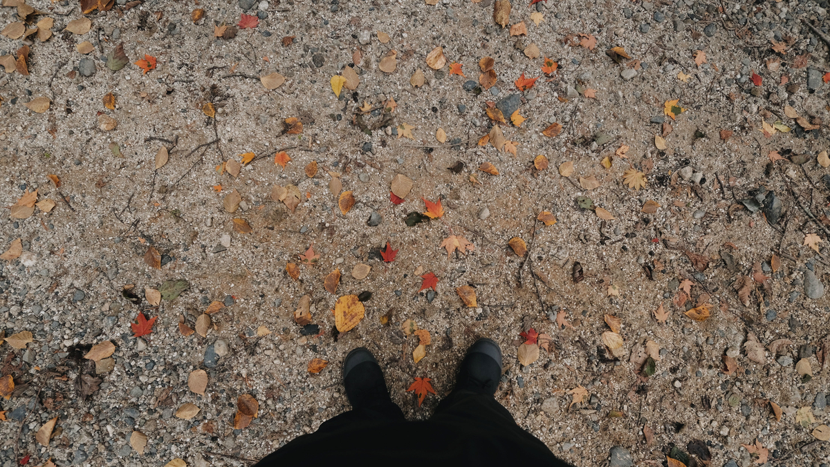 f:id:MotoPhoto94:20211031204434j:plain