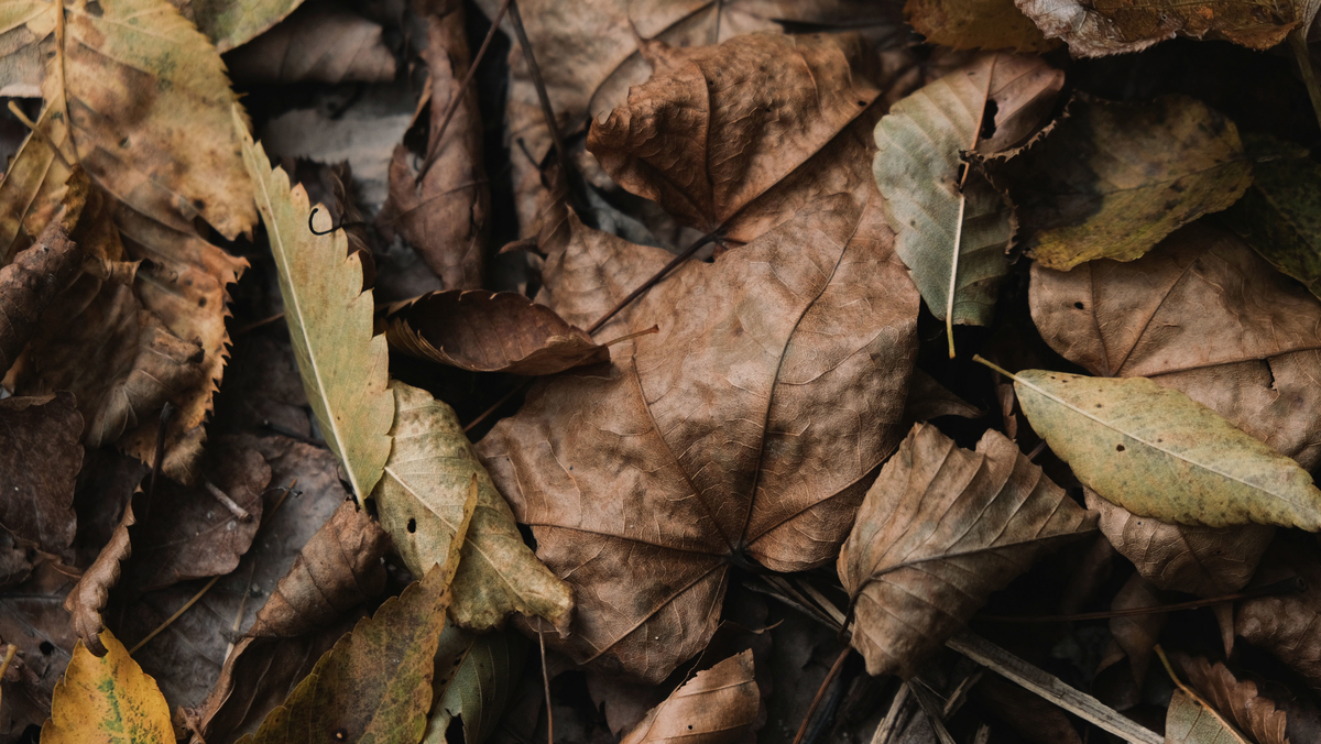 f:id:MotoPhoto94:20211031204442j:plain