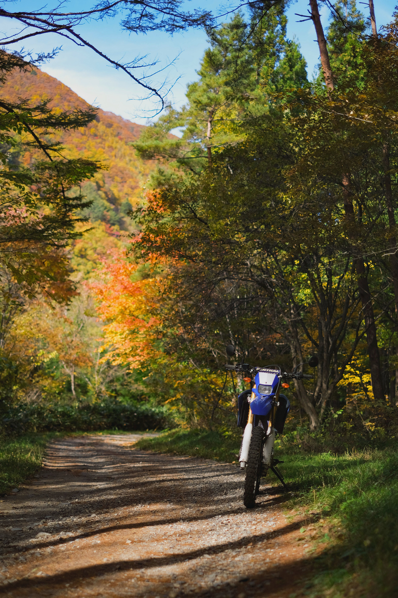 f:id:MotoPhoto94:20211031204449j:plain