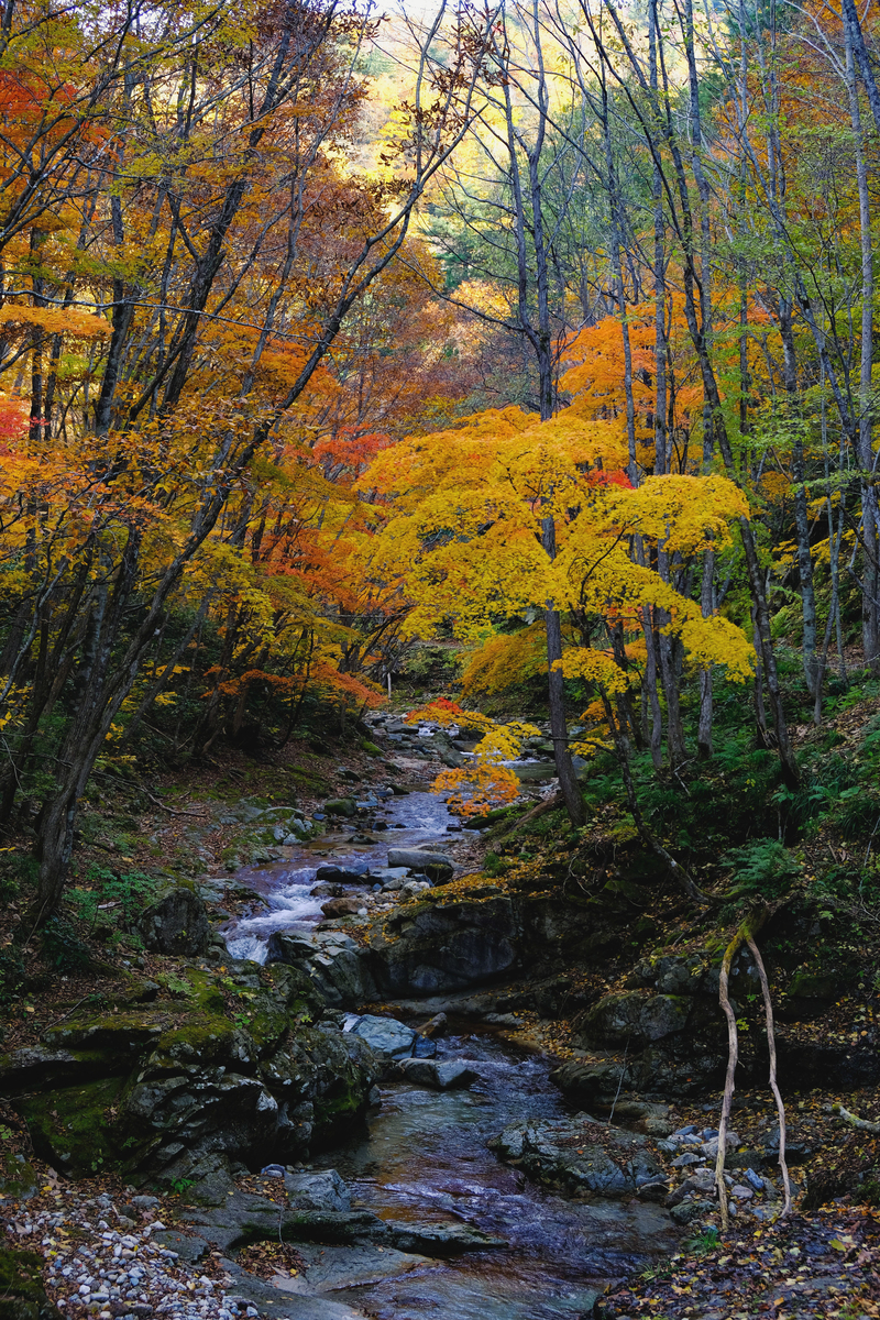 f:id:MotoPhoto94:20211031204459j:plain