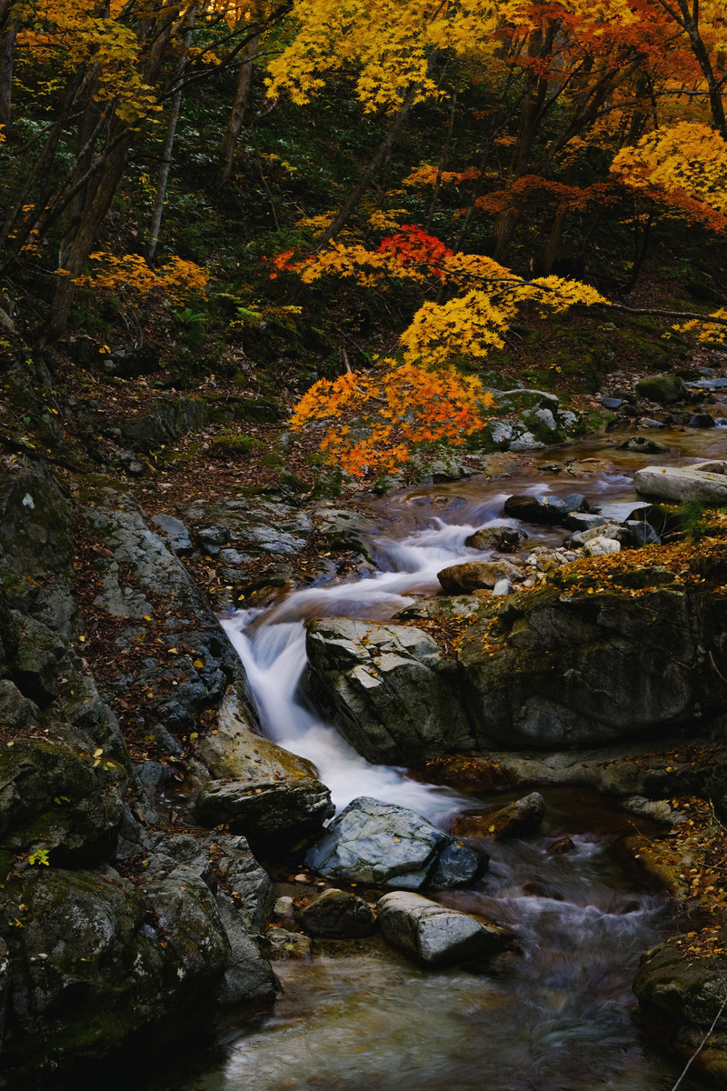 f:id:MotoPhoto94:20211031204510j:plain