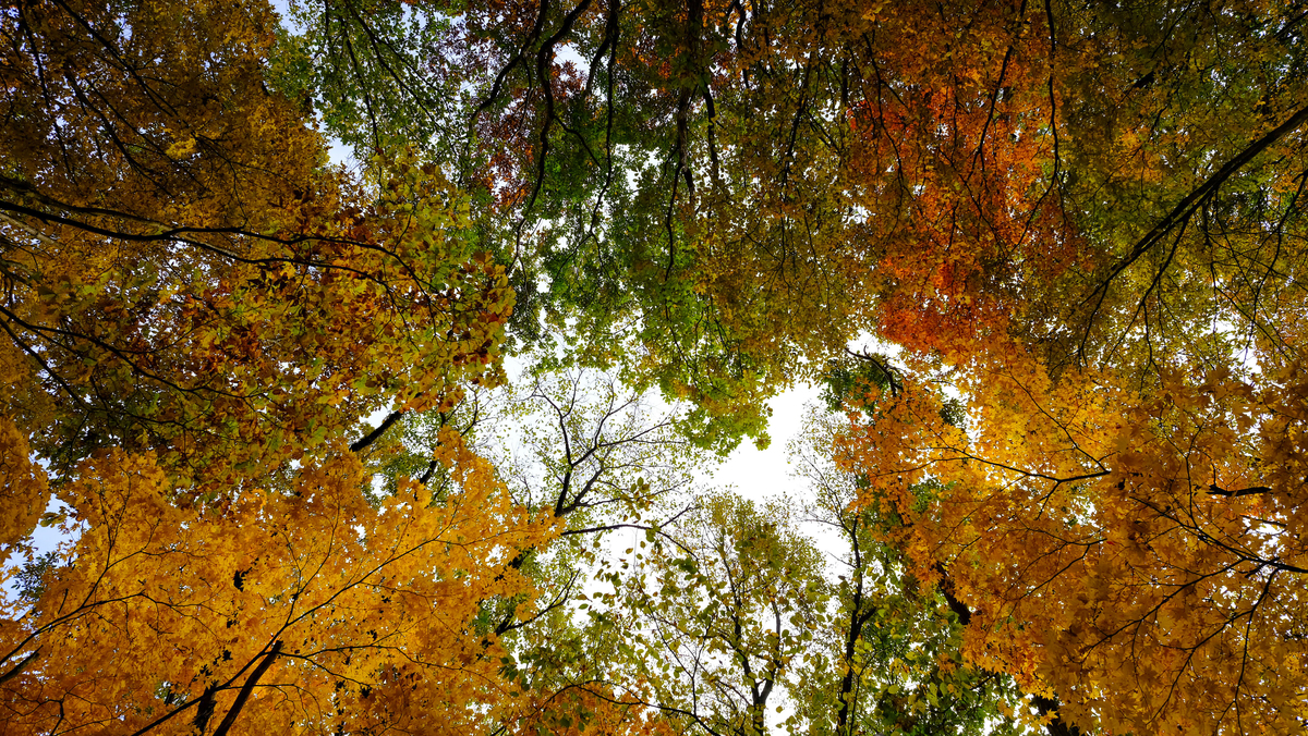 f:id:MotoPhoto94:20211031204658j:plain