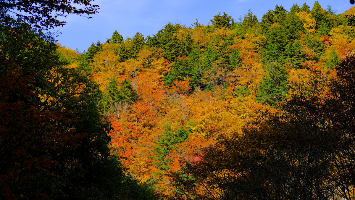 f:id:MotoPhoto94:20211031204736j:plain